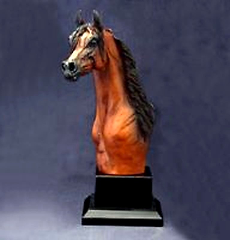 Arabian Stallion Trophy