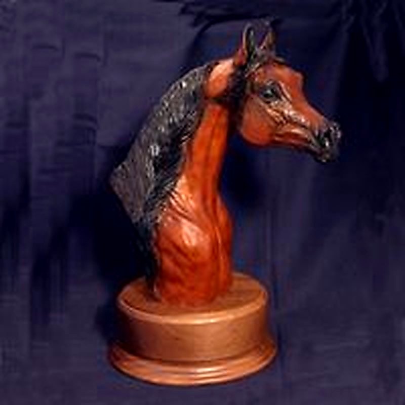 Arabian Look Of Eagles Trophy