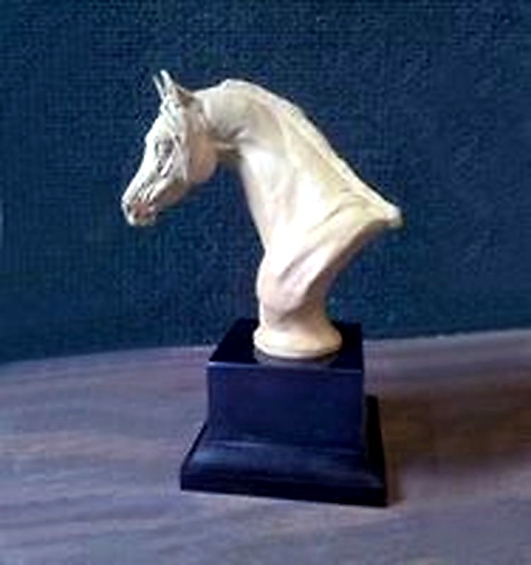 Medium Arabian Trophy - Looking Left