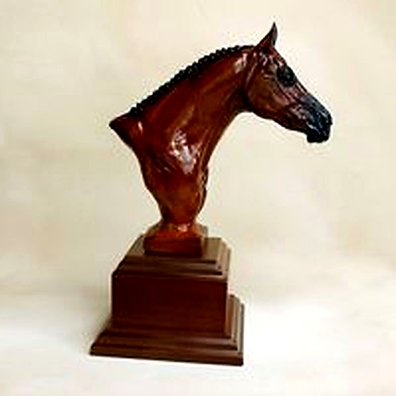 Medium Hunter Horse Trophy