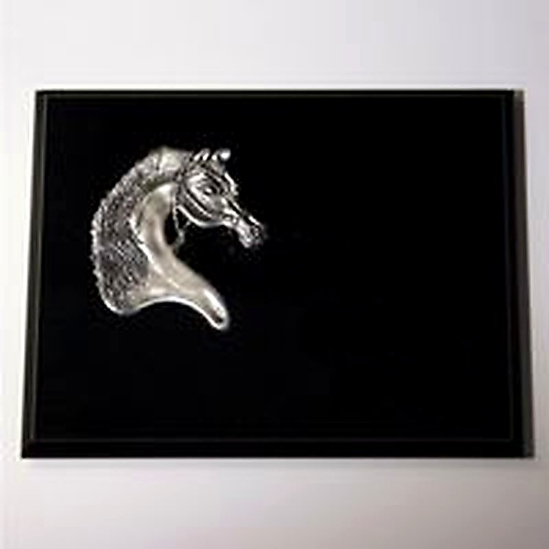 Pewter Arabian Costume Premium Plaque
