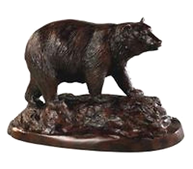 Black Bear On Rocks