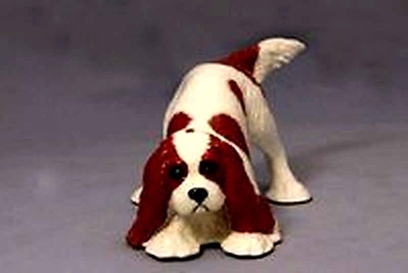 Cavalier King Charles