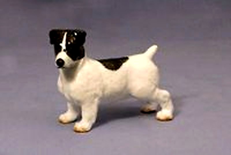 Jack Russell Terrier