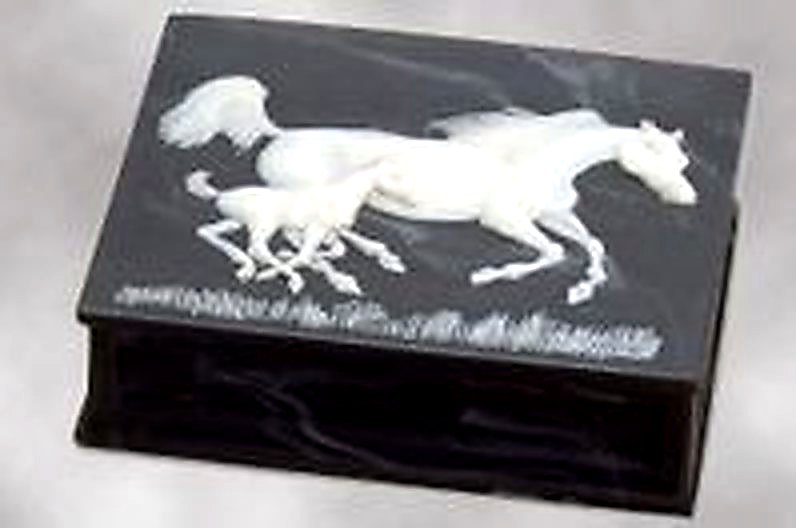 First Gallop