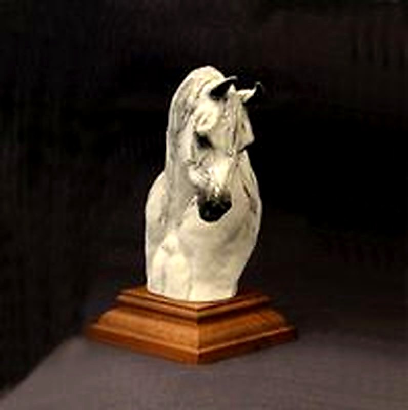Arabian Mare