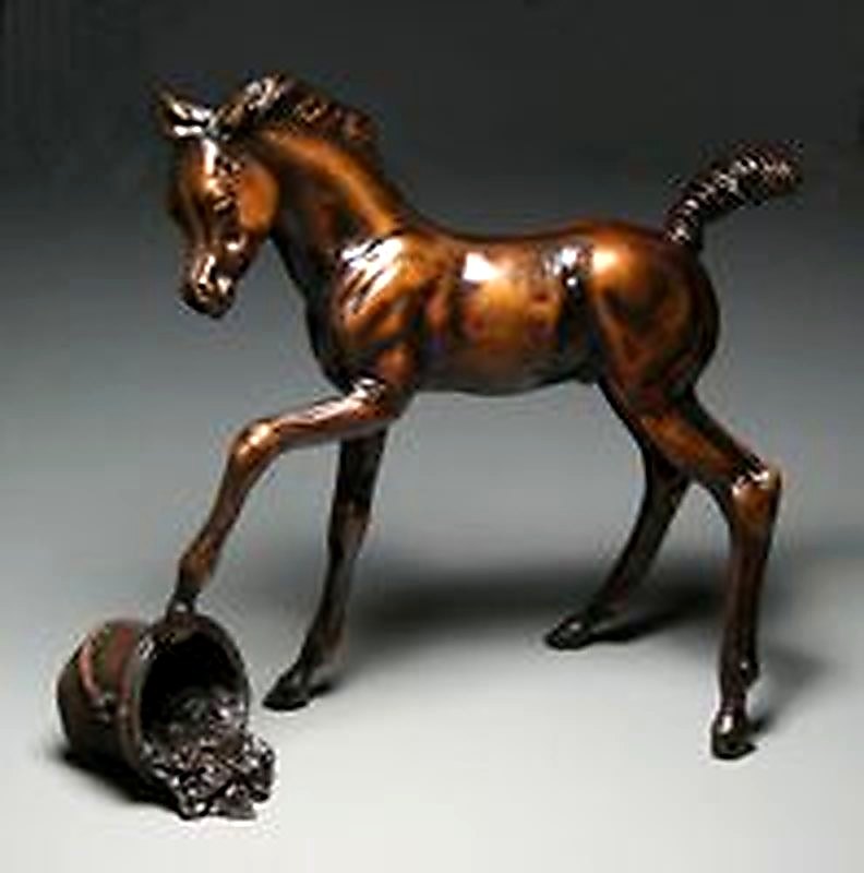 Playful Foal - Oops!