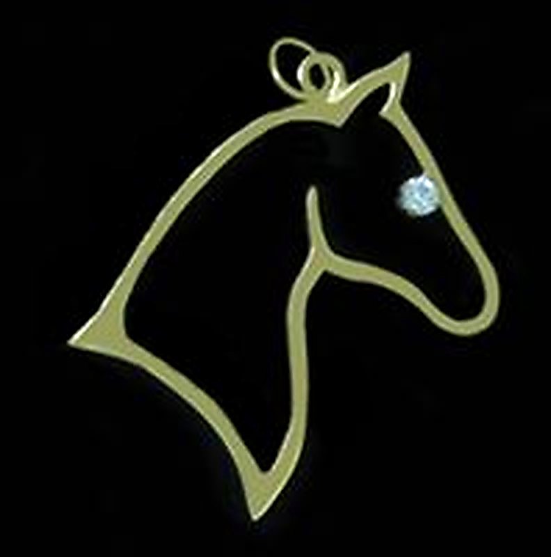 Diamond Eye Silhouette Necklace