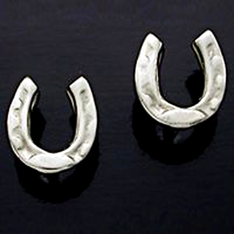 Horseshoe Post Earrings