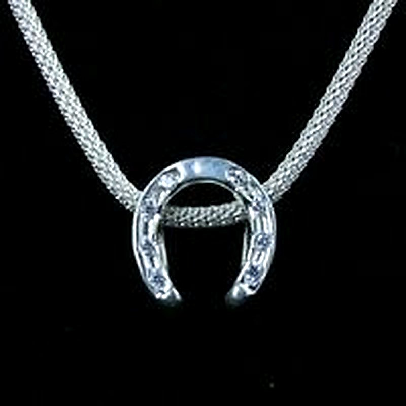 Lucky Horse Shoe W/ CZ