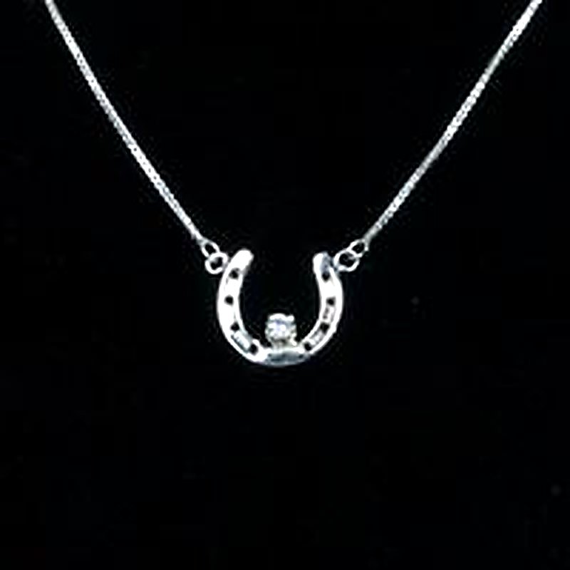 Lucky Horseshoe w/CZ Center Necklace